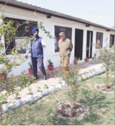 ntsingh