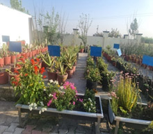 nursery1