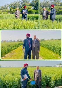 487924642_1849242159233361_4333198430495222068_n